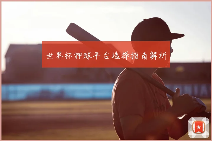 世界杯押球平台选择指南解析