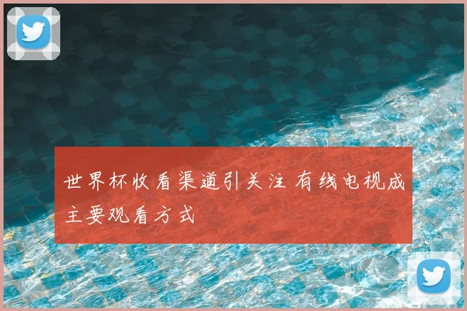 世界杯收看渠道引关注 有线电视成主要观看方式
