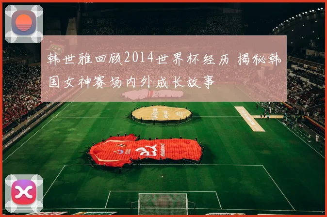 韩世雅回顾2014世界杯经历 揭秘韩国女神赛场内外成长故事