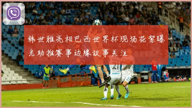 韩世雅亮相巴西世界杯现场花絮曝光助推赛事边缘故事关注