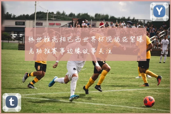 韩世雅亮相巴西世界杯现场花絮曝光助推赛事边缘故事关注