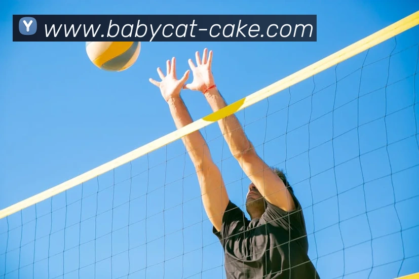 世界杯官方网络平台发展历程