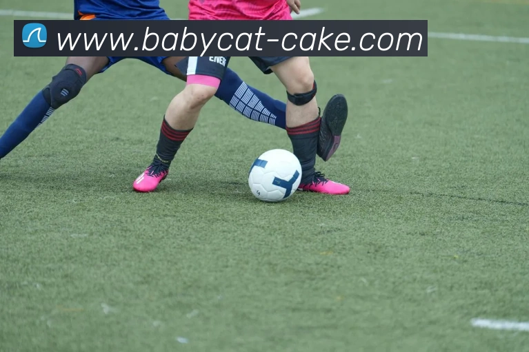 曼联主帅滕哈格下课球队将尽快敲定继任人选